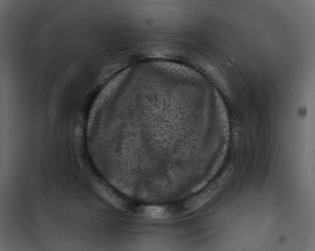 X0000101090265200807171855