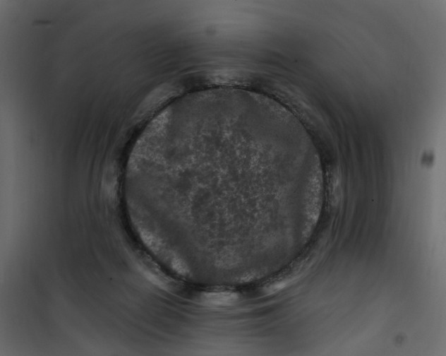 X0000101090266200807171855