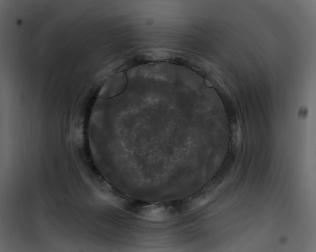 X0000101090267200807171855