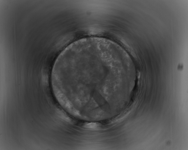 X0000101090269200807171855