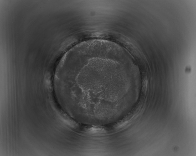 X0000101090270200807171855