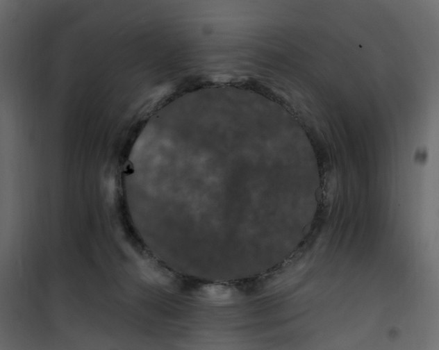 X0000101090272200807171855