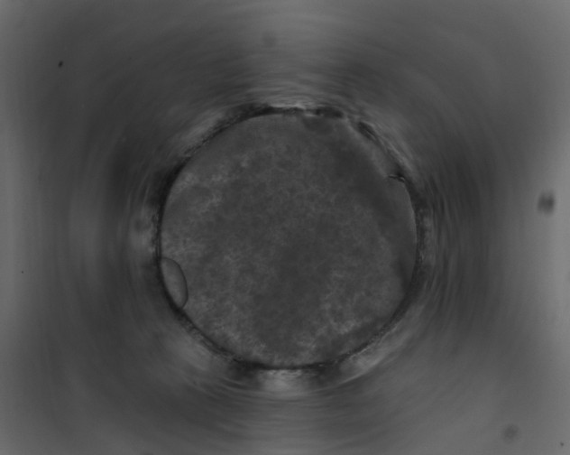 X0000101090273200807171855