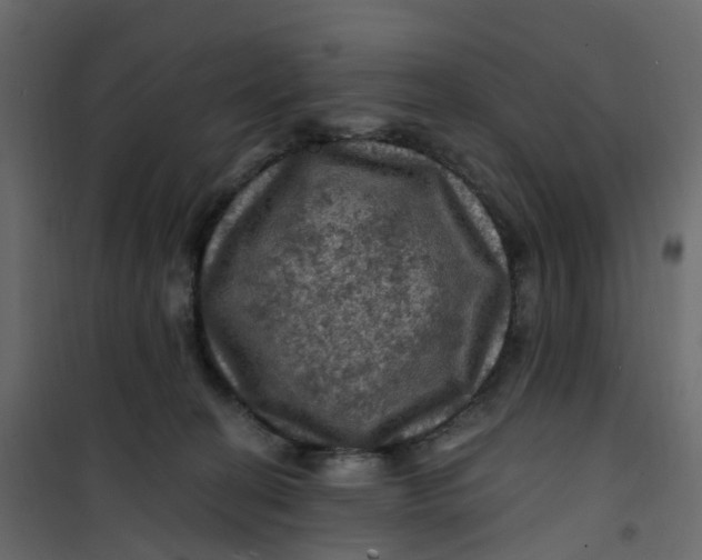 X0000101090274200807171855