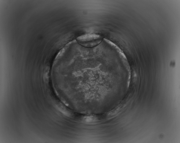 X0000101090275200807171855