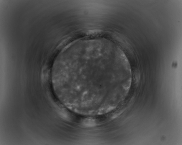 X0000101090276200807171855