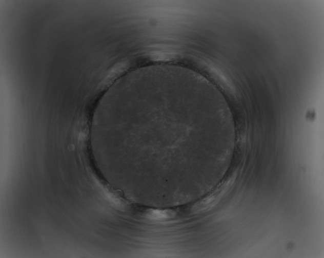 X0000101090277200807171855