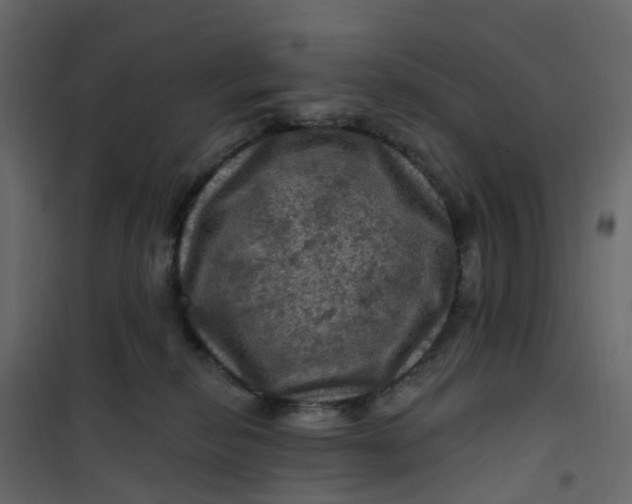 X0000101090278200807171855