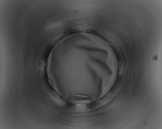 X0000101090279200807171855