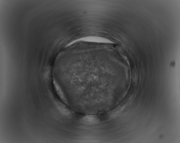 X0000101090280200807171855