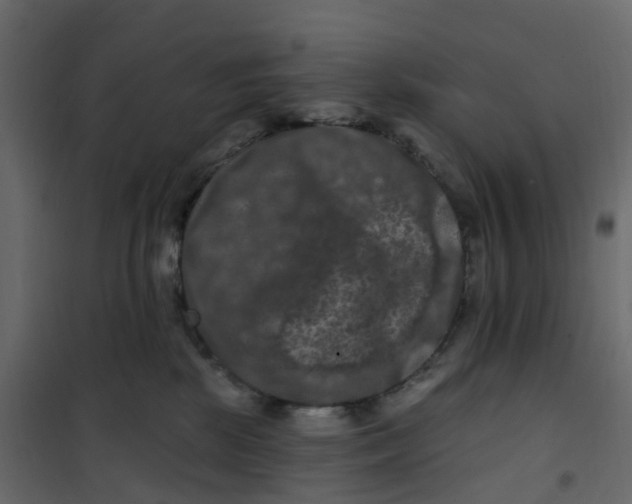 X0000101090281200807171855