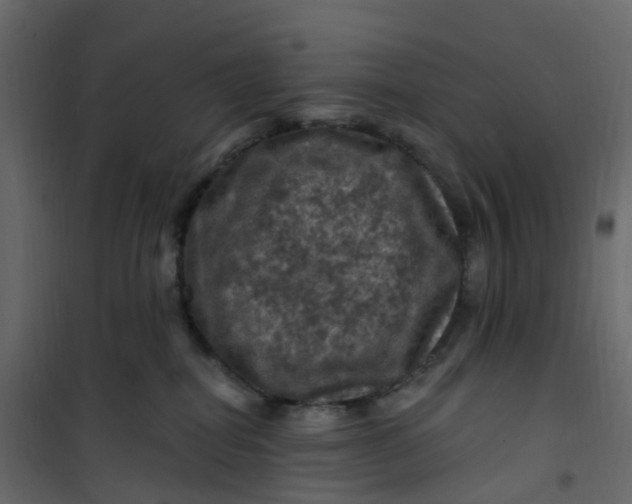 X0000101090282200807171855