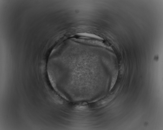 X0000101090283200807171855