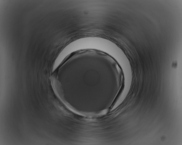 X0000101090284200807171855