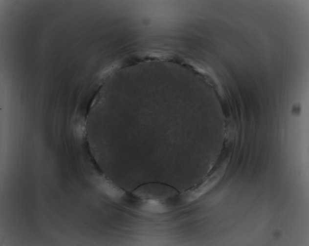 X0000101090285200807171855