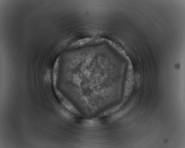 X0000101090286200807171855