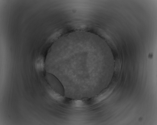 X0000101090287200807171855