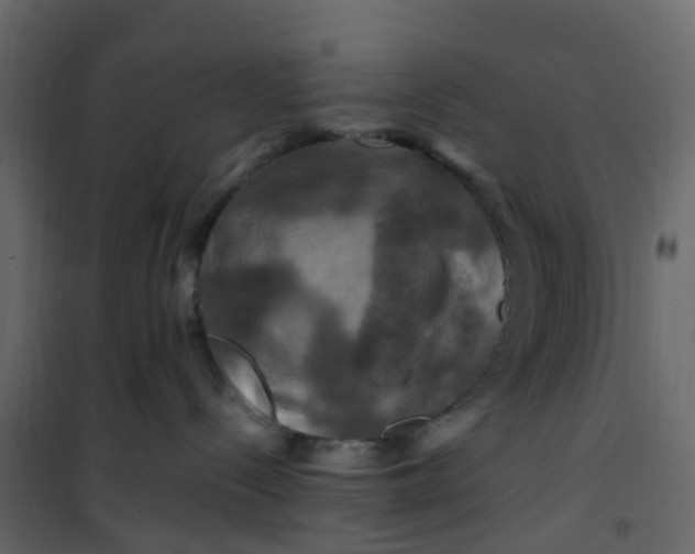 X0000101090288200807171855