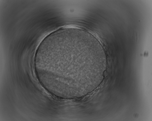 X0000101090289200807171854