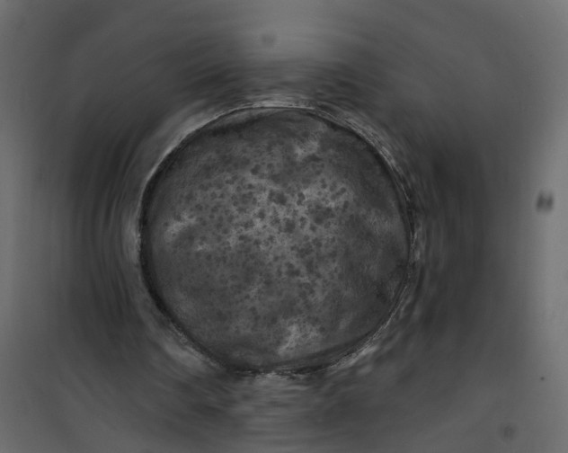 X0000101090290200807171854