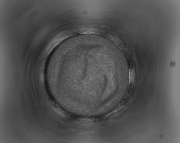 X0000101090291200807171854