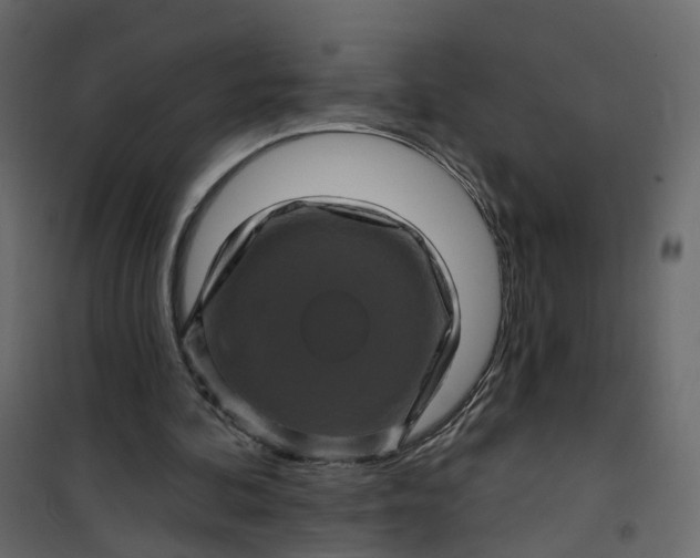 X0000101090292200807171854