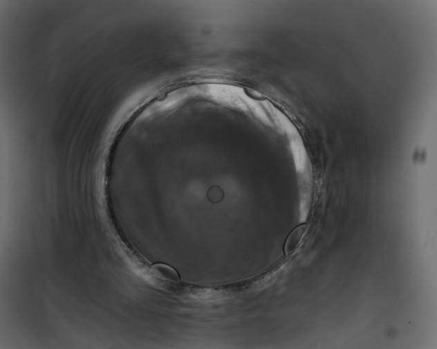 X0000101090293200807171854