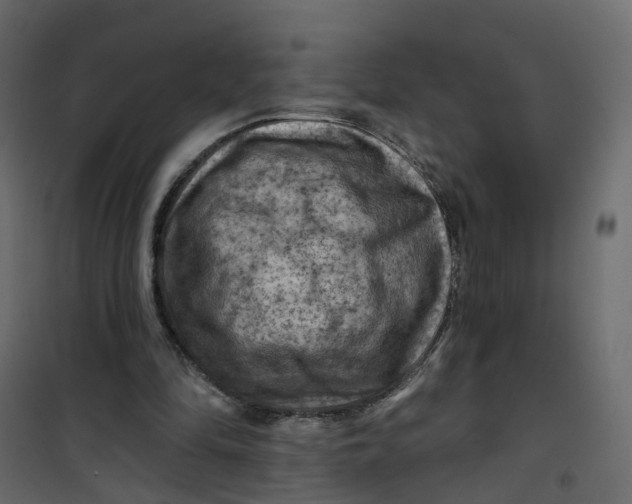 X0000101090294200807171854