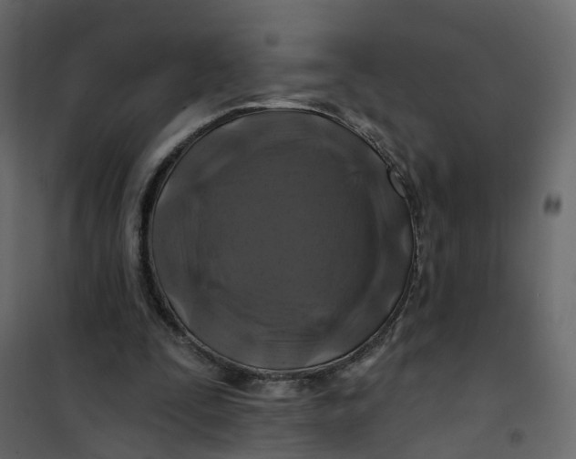 X0000101090295200807171854