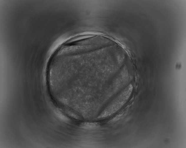 X0000101090296200807171854