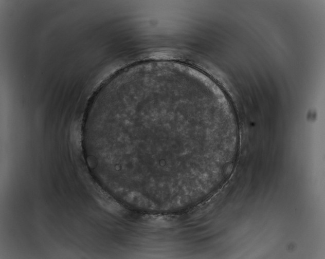 X0000101090297200807171854