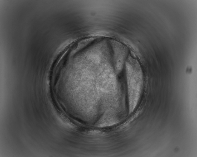 X0000101090298200807171854