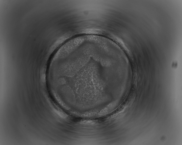 X0000101090299200807171854