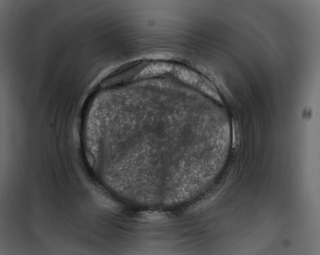 X0000101090300200807171854