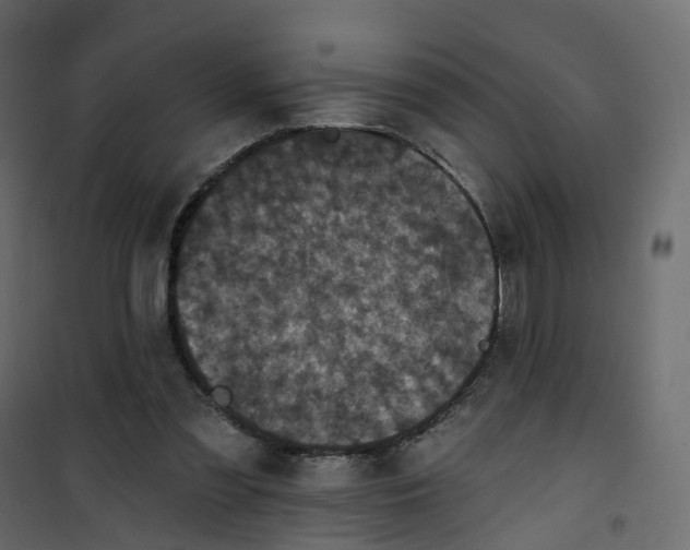 X0000101090301200807171854