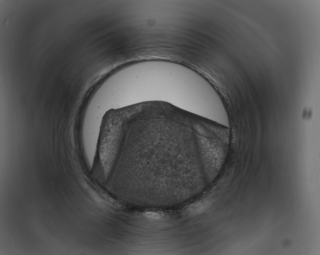 X0000101090302200807171854