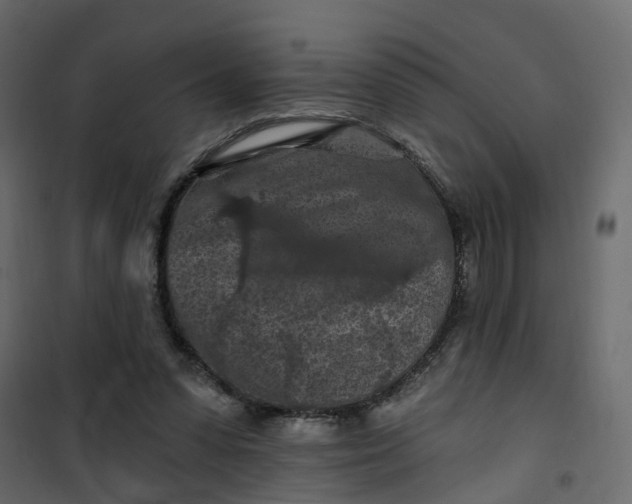 X0000101090303200807171854