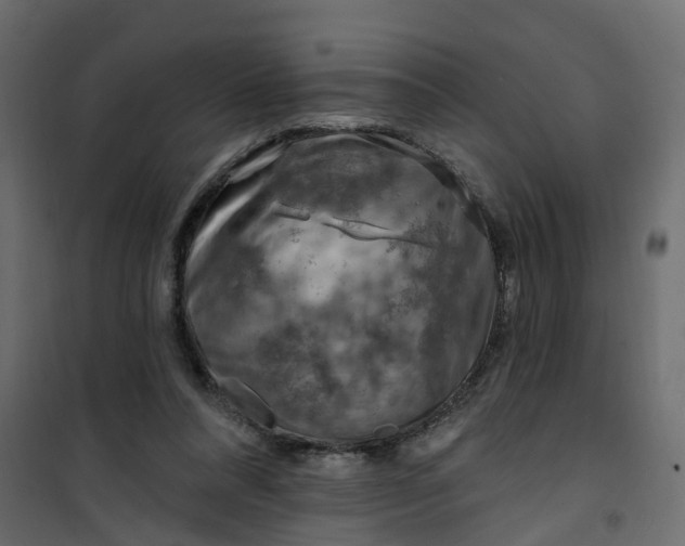 X0000101090304200807171854