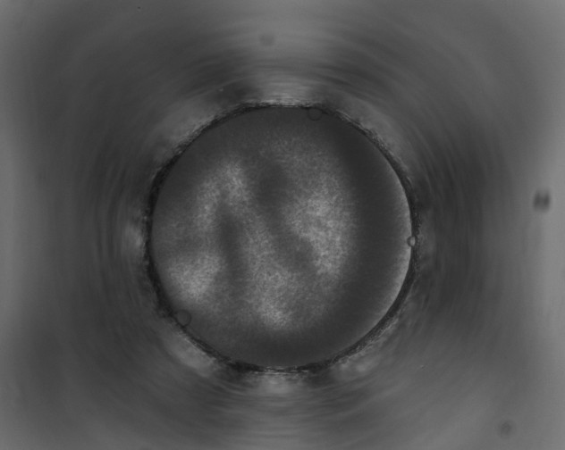 X0000101090305200807171854