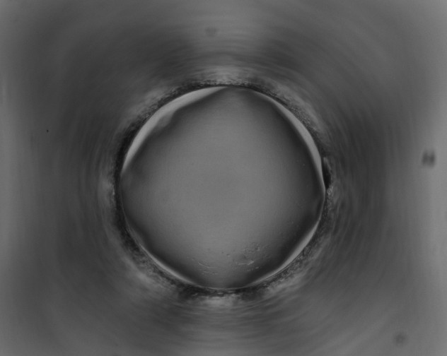 X0000101090306200807171854