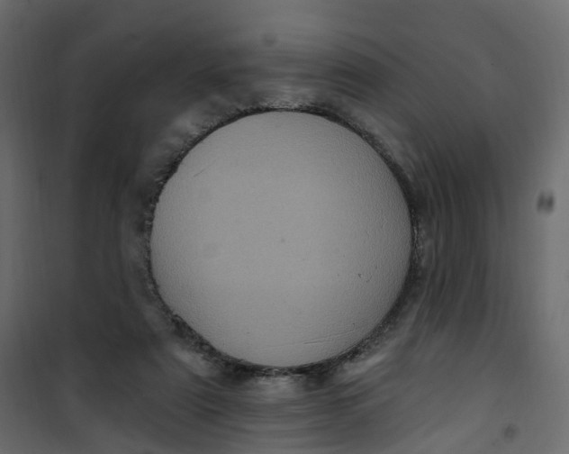 X0000101090307200807171854