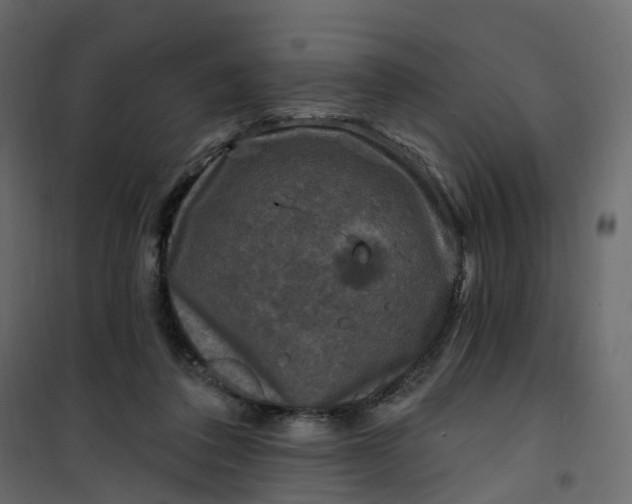 X0000101090308200807171854