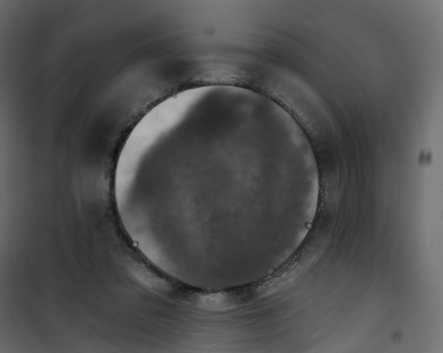 X0000101090309200807171854