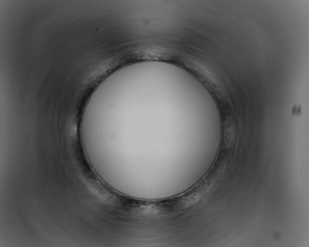 X0000101090310200807171854