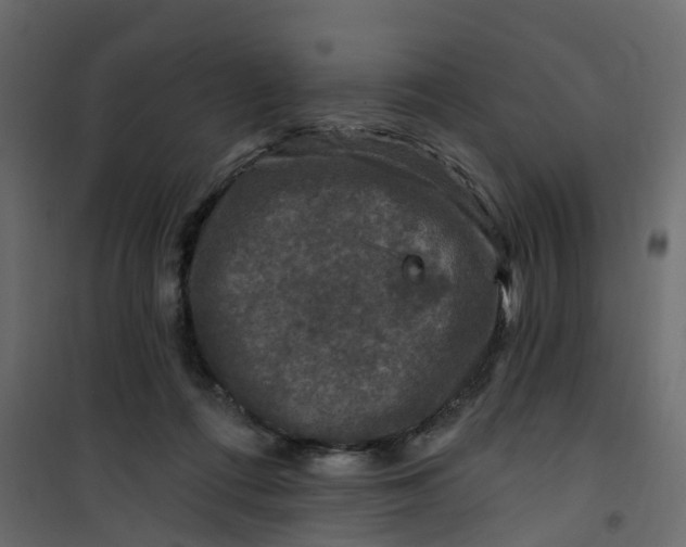 X0000101090312200807171854