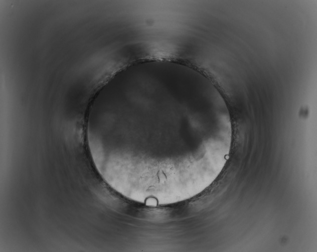 X0000101090313200807171854