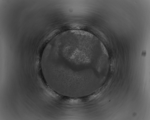 X0000101090314200807171854