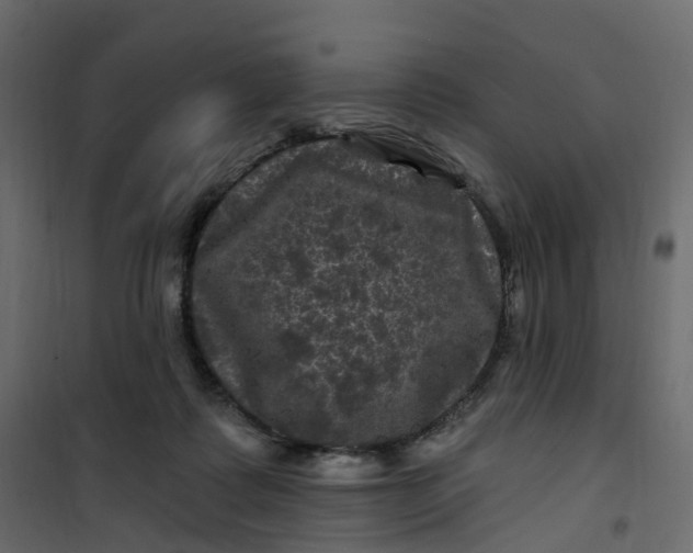 X0000101090315200807171854