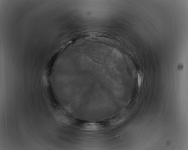 X0000101090316200807171854