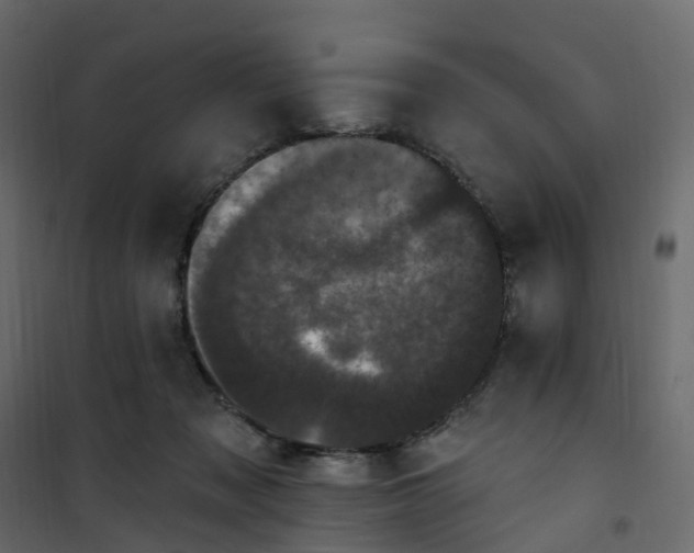 X0000101090317200807171854